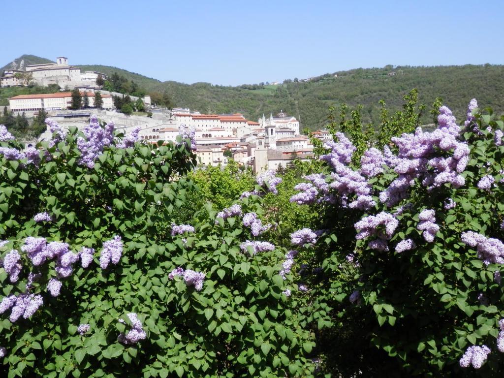 Hotel Villa Stella Cascia Exterior foto